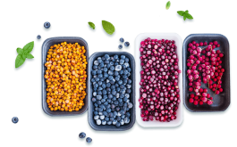 2.3 Грибы, Овощи, Ягоды