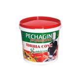 Печагин Печагин