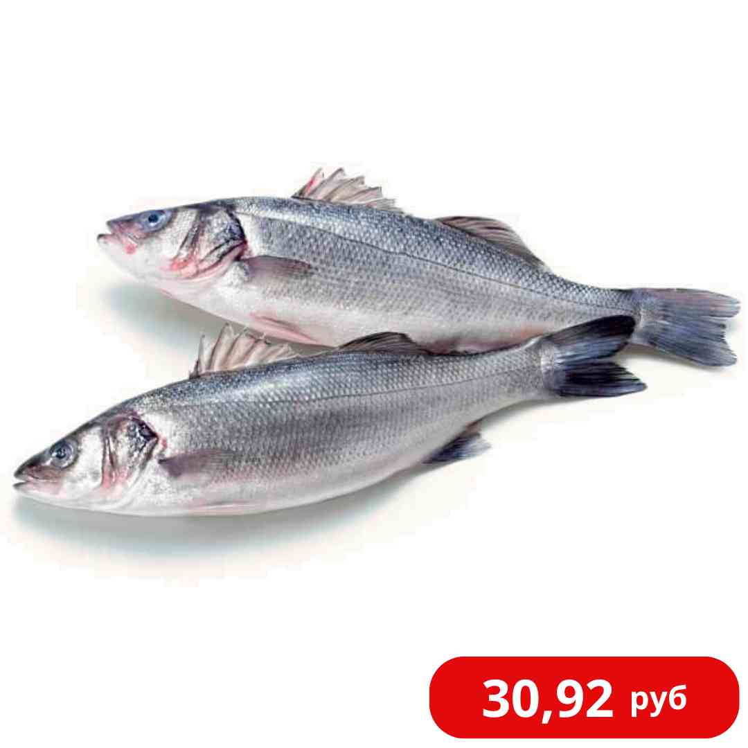 Сибас (400-600), кг (непотрош., с/г)