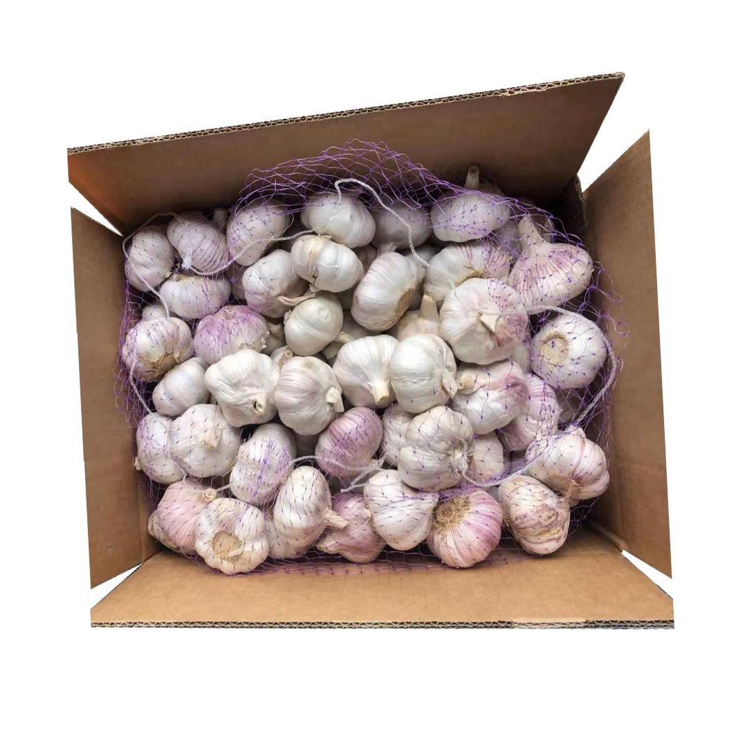 Чеснок свежий