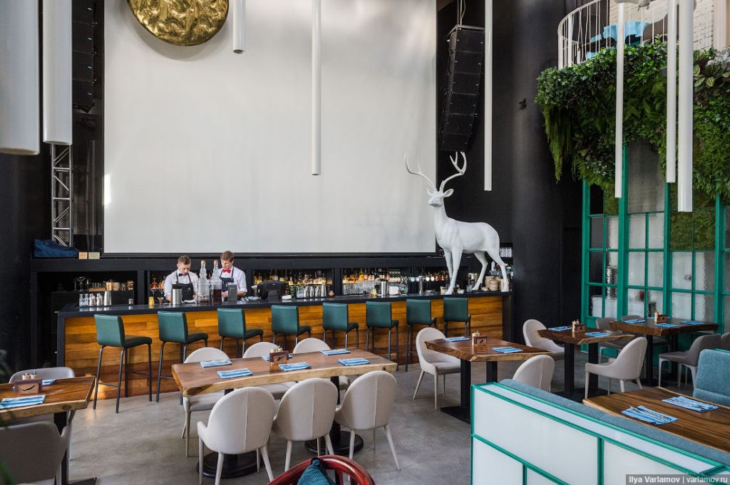 эхо.jpg эхо.jpg