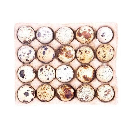 Яйцо перепелиное (лоток 20 штук)